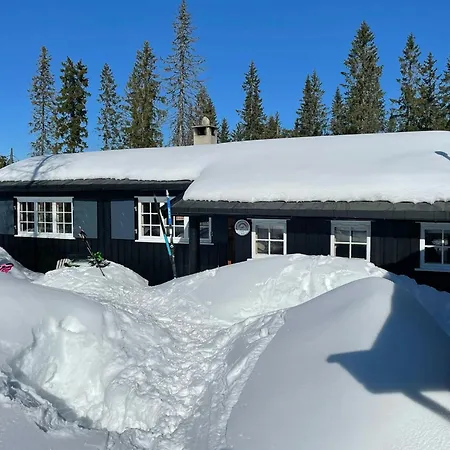 Modern And Traditional On Krokskogen * Honefoss