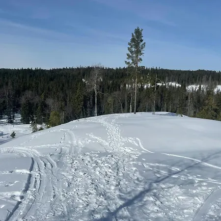 Feriehus Modern And Traditional On Krokskogen *