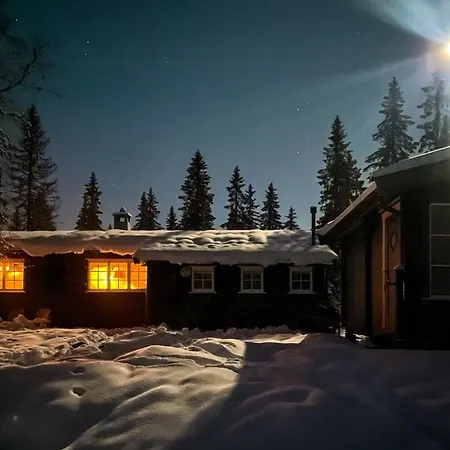 Modern And Traditional On Krokskogen *