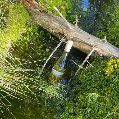 Modern And Traditional On Krokskogen * 赫讷福斯