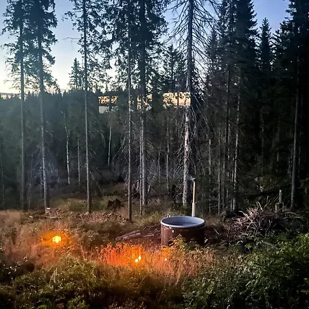 度假居 Modern And Traditional On Krokskogen *